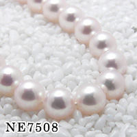 SV/K14WG �A�R���p�[�� �l�b�N���X/�C�������O�Z�b�g (7.5�`8.0mm��)
