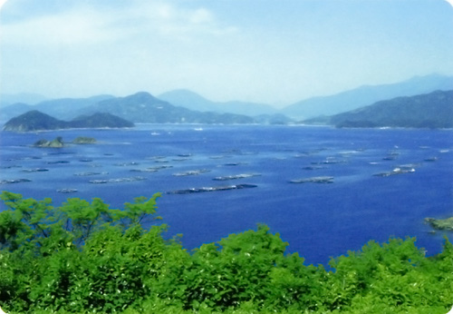 愛媛県宇和島市遊子地区　風景